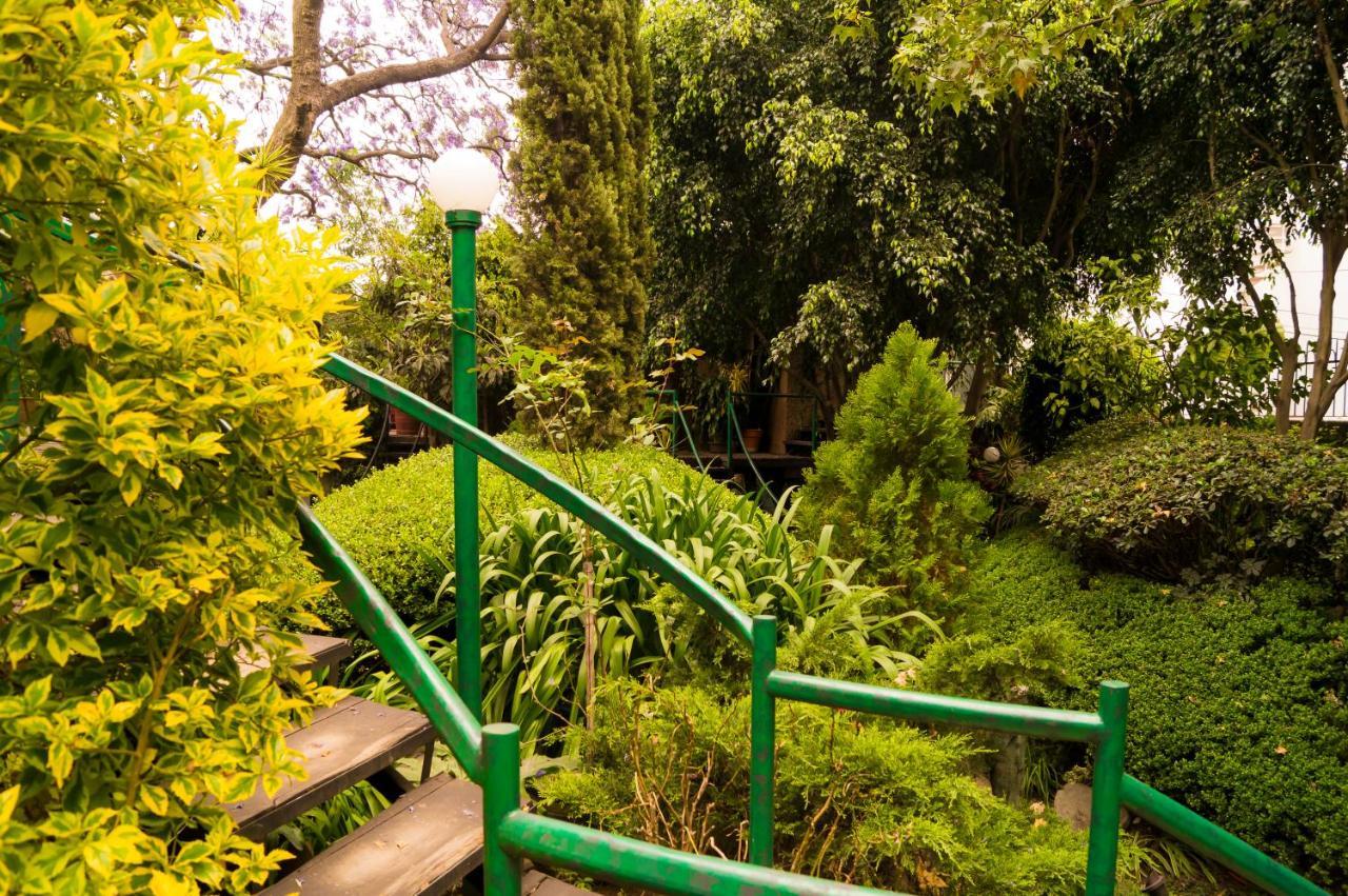 Suite 1-A Monasterio Garden House Welcome To San Angel Kota Meksiko Bagian luar foto