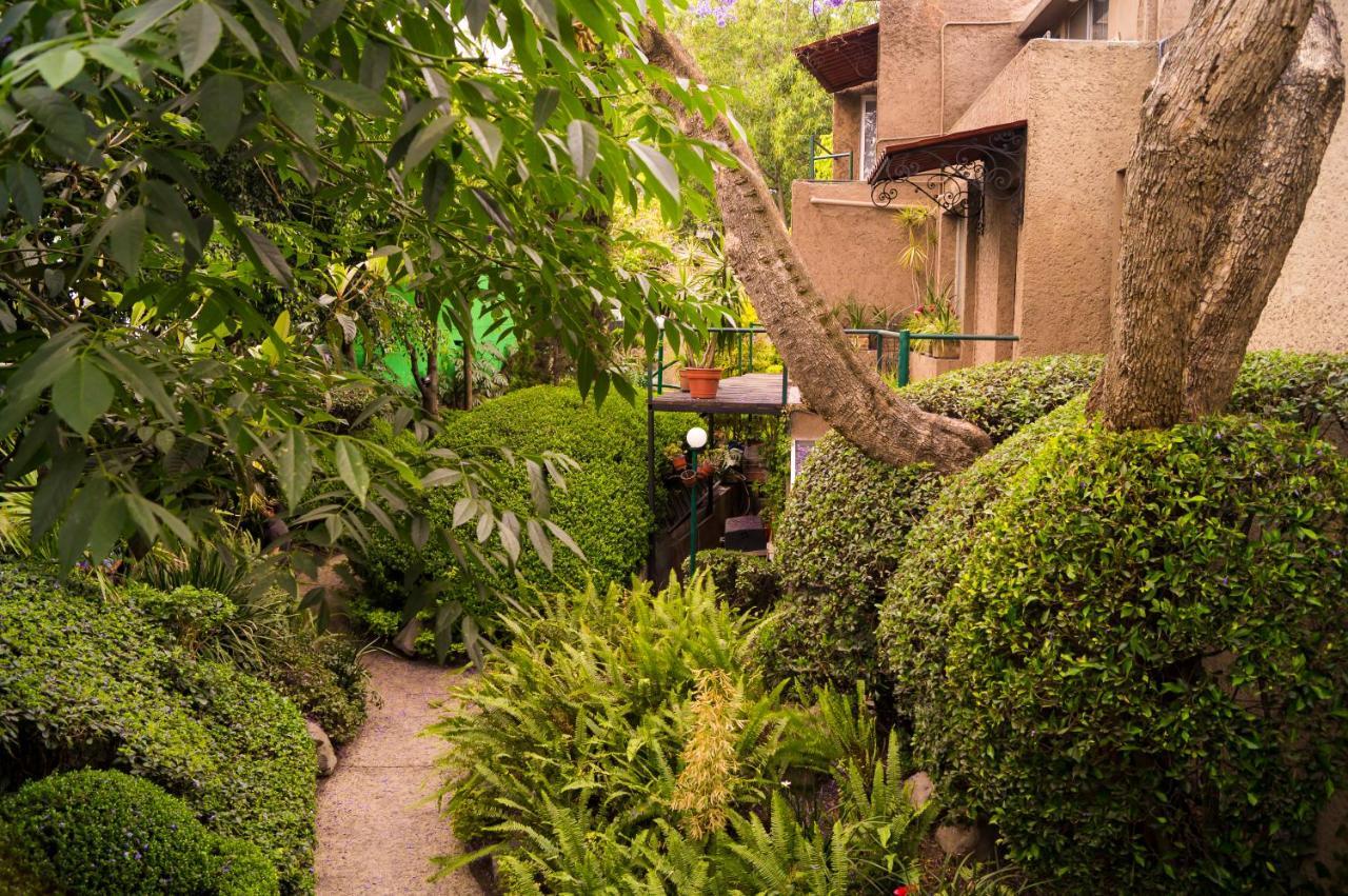 Suite 1-A Monasterio Garden House Welcome To San Angel Kota Meksiko Bagian luar foto