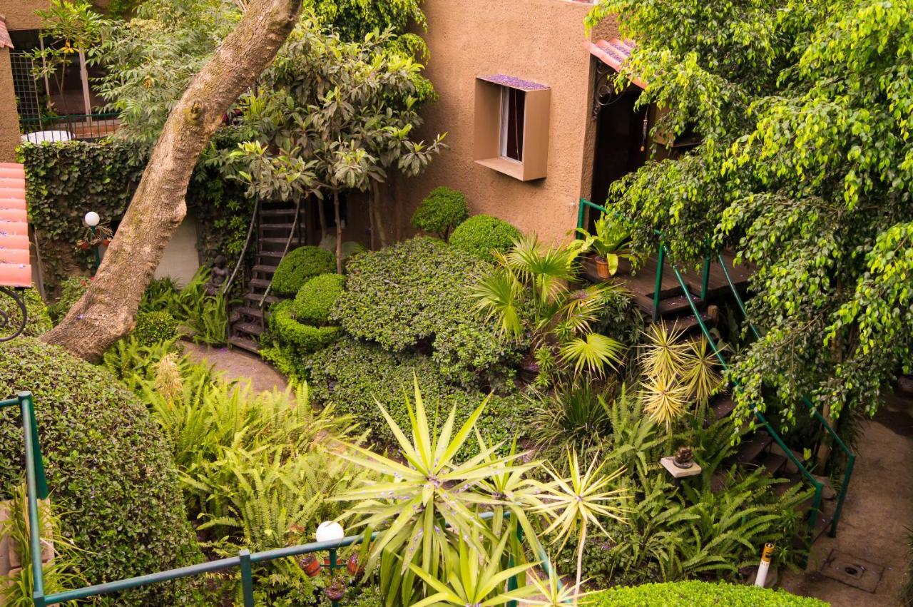 Suite 1-A Monasterio Garden House Welcome To San Angel Kota Meksiko Bagian luar foto