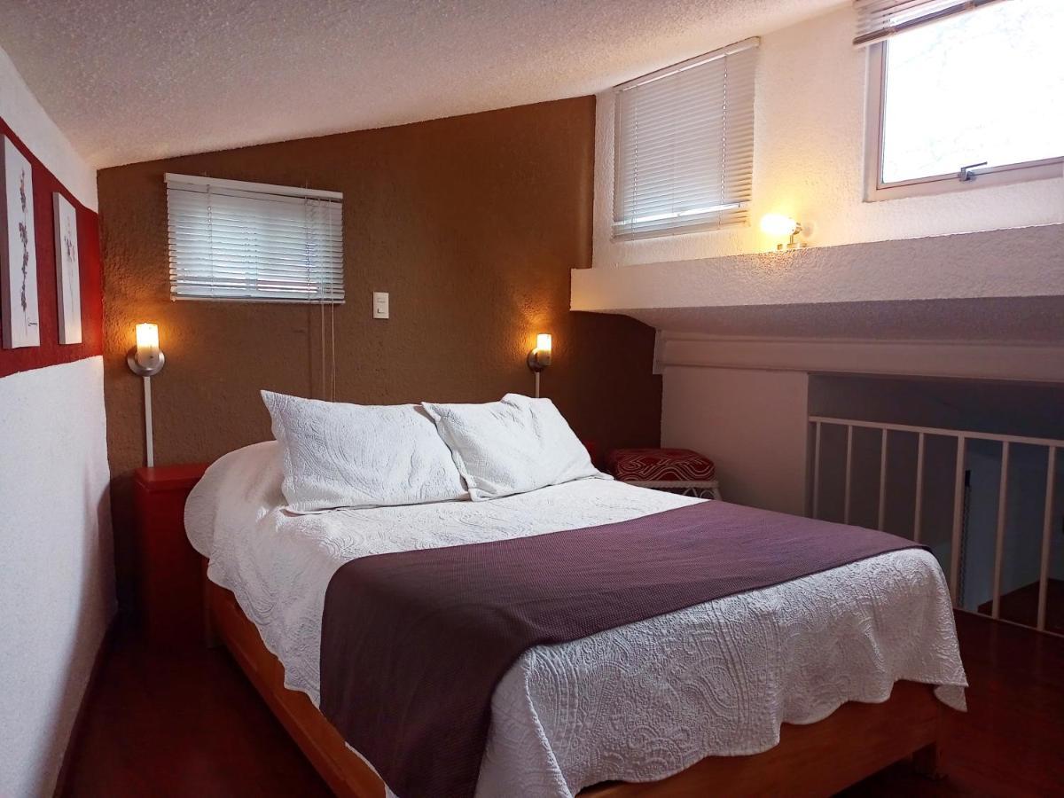 Suite 1-A Monasterio Garden House Welcome To San Angel Kota Meksiko Bagian luar foto
