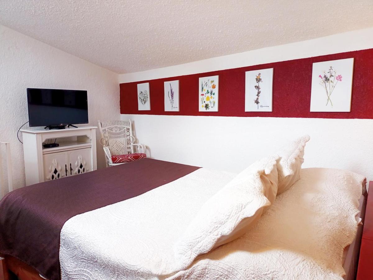 Suite 1-A Monasterio Garden House Welcome To San Angel Kota Meksiko Bagian luar foto
