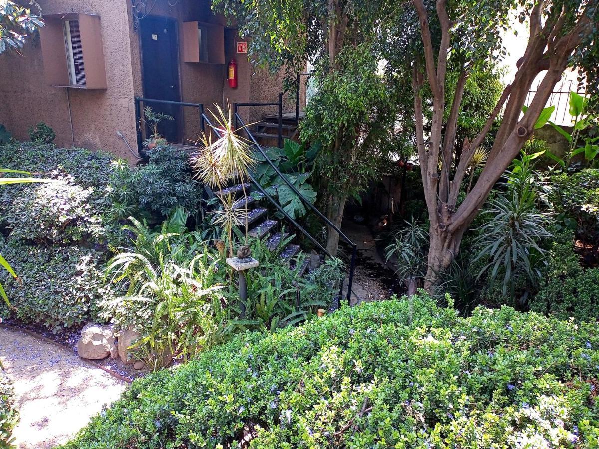 Suite 1-A Monasterio Garden House Welcome To San Angel Kota Meksiko Bagian luar foto