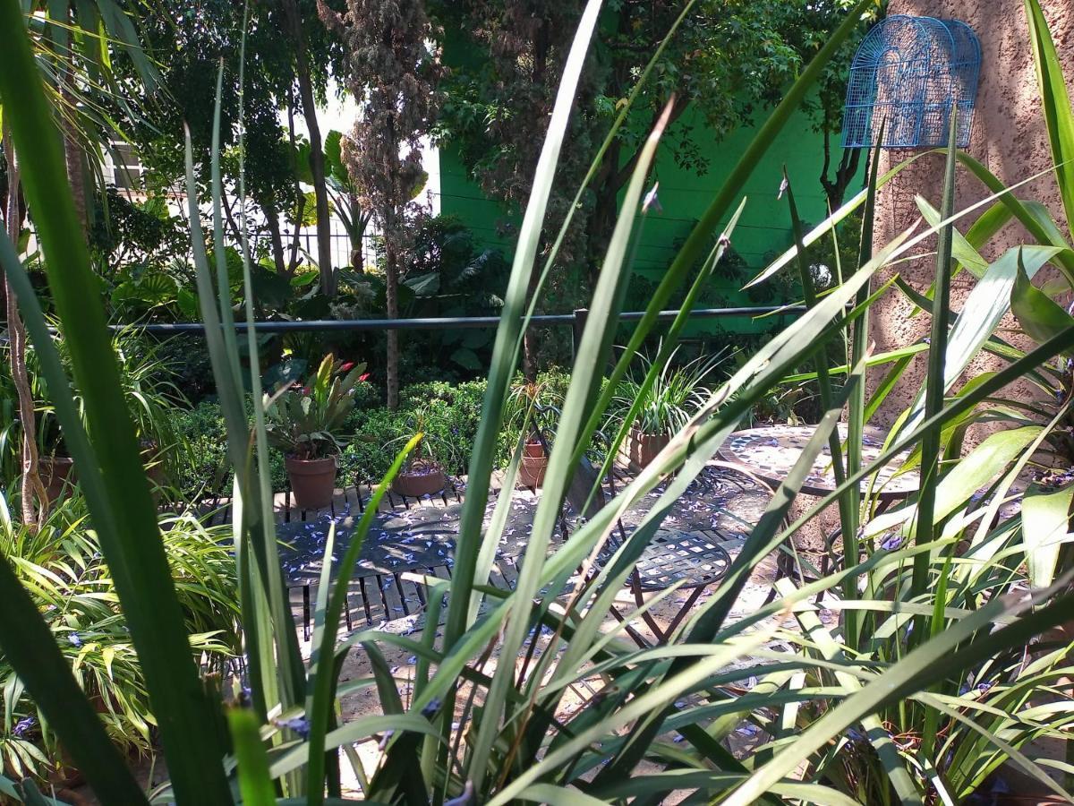 Suite 1-A Monasterio Garden House Welcome To San Angel Kota Meksiko Bagian luar foto